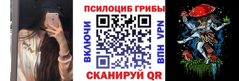 Псилоцибиновые грибы Magic Shrooms  Купить где  Зубцов 